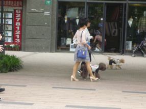 Walkies! (and carry)