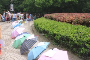 The Match-Makers Market