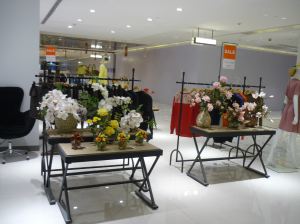 Plants Throughout The Store