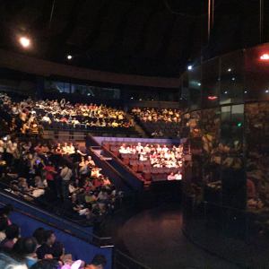 Structure in the Centre of the Circus Ring