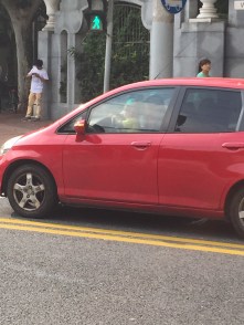 Baby in The Driving Seat