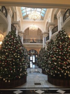 No Less Than 8 Christmas Trees in the Front Lobby