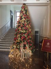 House of Roosevelt Restaurant